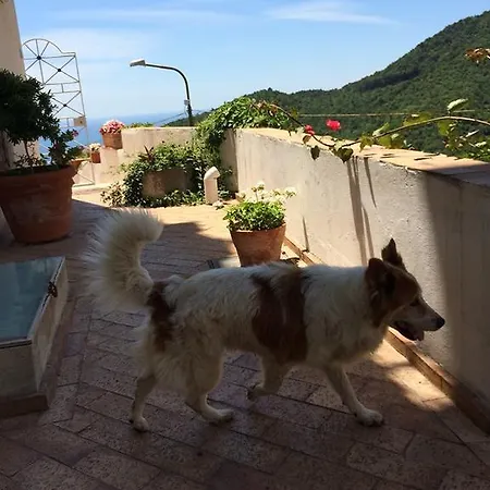 Bed & Breakfast Le Terrazze Di Cristina *