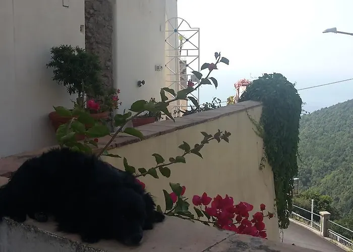 Bed and breakfast Le Terrazze Di Cristina