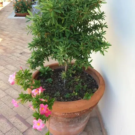 Panzió Le Terrazze Di Cristina