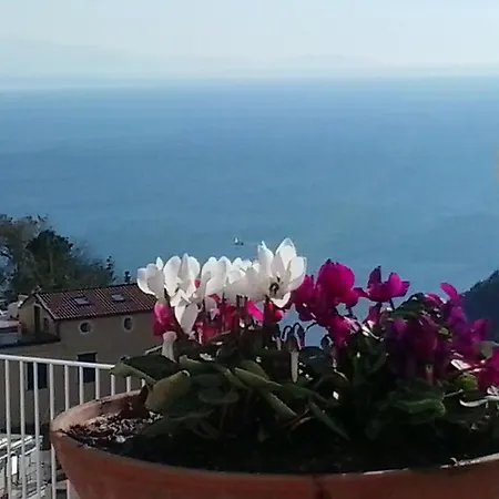 Le Terrazze Di Cristina * Vietri