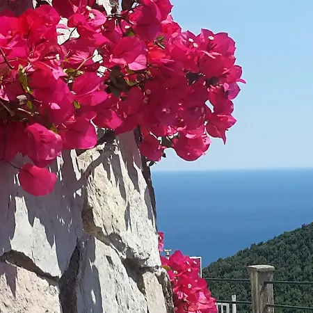 Le Terrazze Di Cristina Bed & Breakfast
