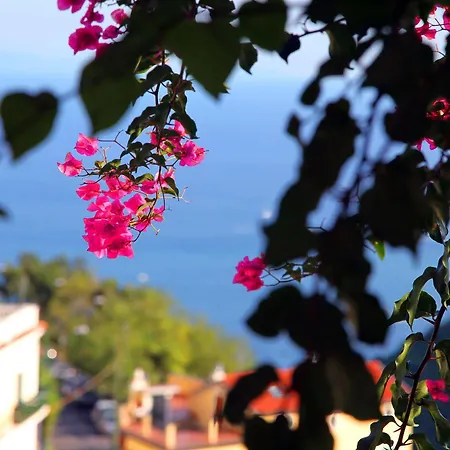 Le Terrazze Di Cristina Bed & Breakfast *