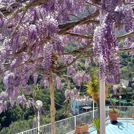 Bed & Breakfast Le Terrazze Di Cristina Vietri sul Mare